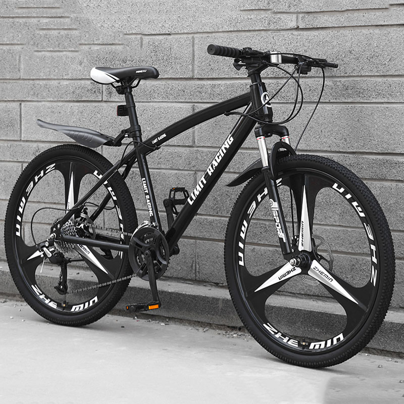 Vélo de route pliable à cadre pleine grandeur Gravel, puissants vélos à suspension intégrale, couple de vélos de route Litepro, sports de plein air